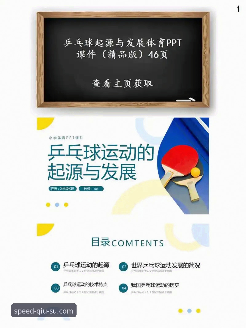 球速体育官网全面评测：下载流程、安装体验与数据验证分析