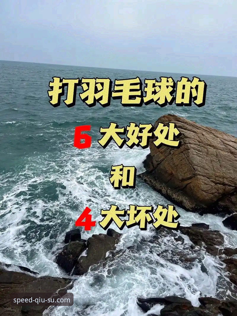球速体育最新版本怎么样 球速体育最新版本使用教程:从下载到投注的完整操作指南